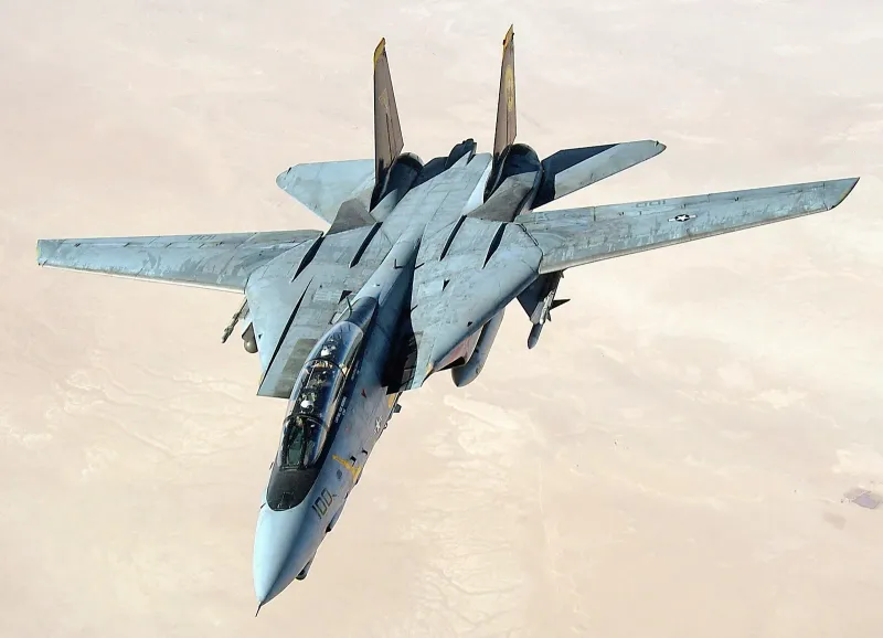 Northrop Grumman F-14 Tomcat, view 1